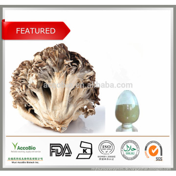 Top-Qualität Maitake Mushroom PE (50% Polysaccharid), natürliche Maitake-Extrakt